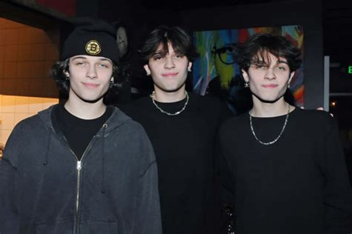 🦄 sturniolos.triplets Sturniolo Triplets TikTok