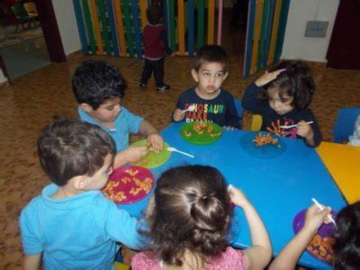 نزيف الفم عند القطط نزيف الفم عند القطط