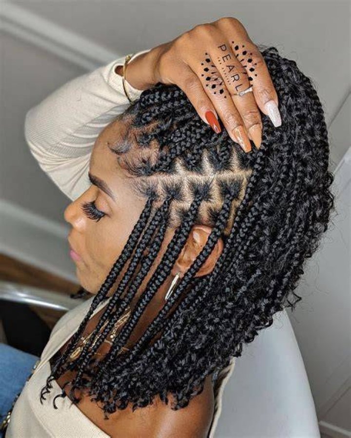 50 Box Braids Protective Styles on Natural Hair with Full Guide Coils