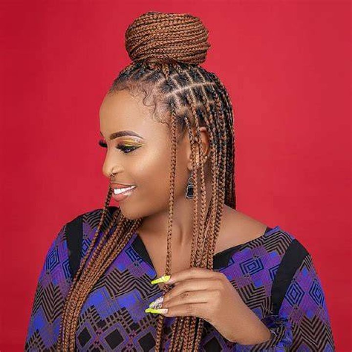 ️Knotless Braid Hairstyles Free Download Goodimg.co