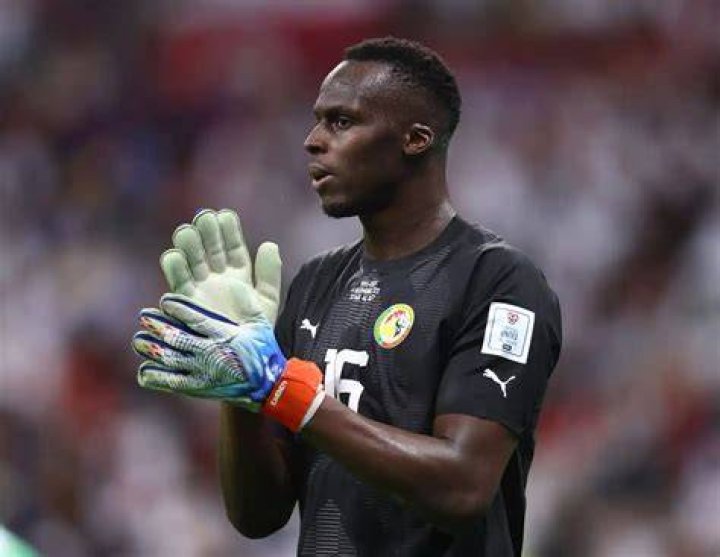 A look into Edouard Mendy's height, net worth, salary, bio, and awards
