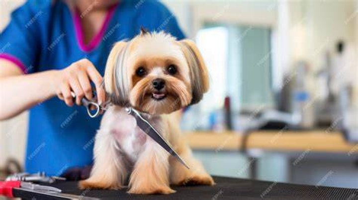 a man trimming the dog's nail