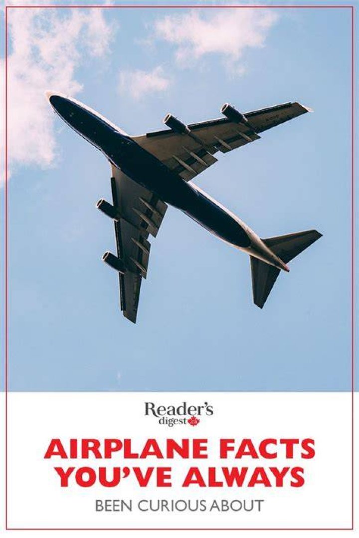 Airplane! Trivia - Airplane! Information and Facts