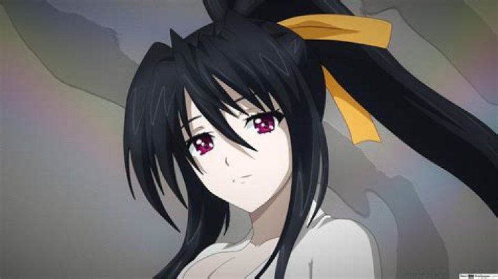 Akeno Himejima Sexy Akeno Himejima Photo (36601543) Fanpop