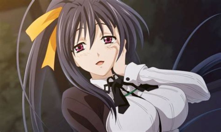 Akeno Himejima Sexy, hot anime and characters Photo (36400546) Fanpop
