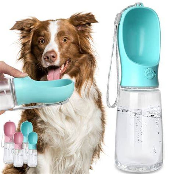 Alfie Pet Zion Water Bottle