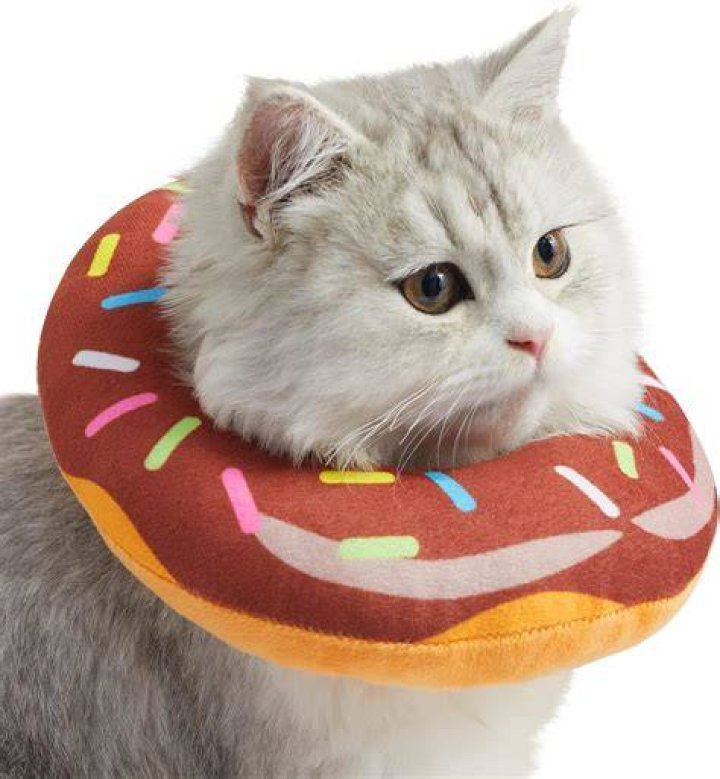Amakunft Adjustable Cat