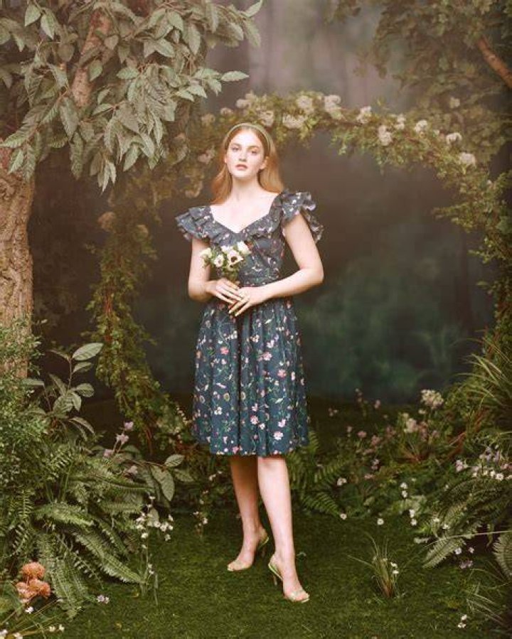 ava dress hill house