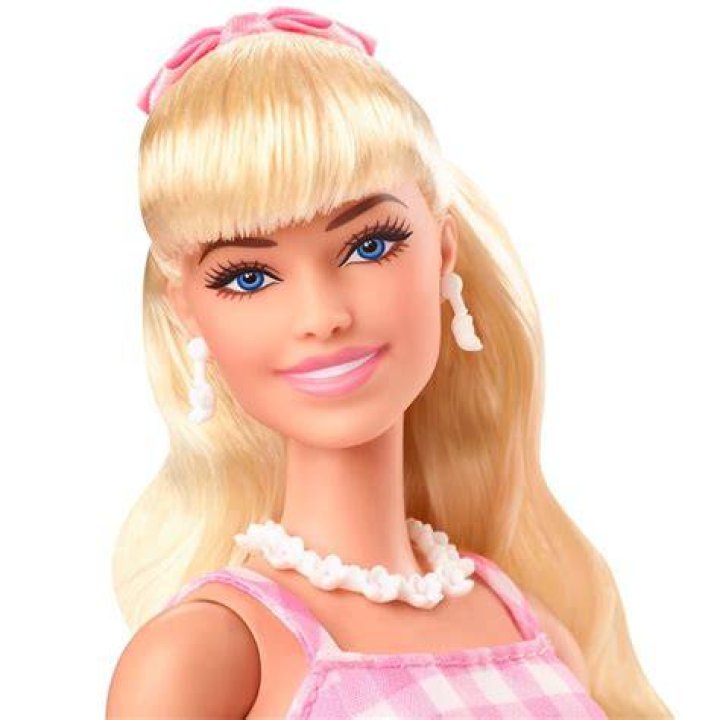 Barbie Gingham Alert