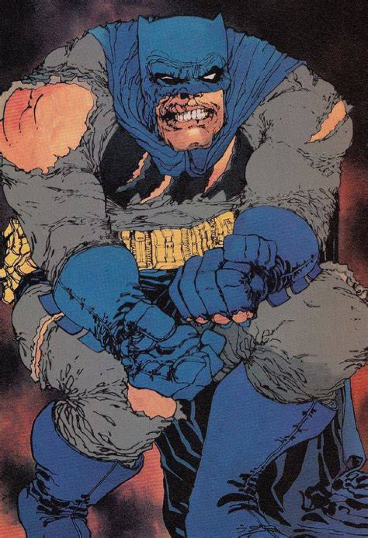 Batman Hawkman Frank Miller Dark Knight Strikes Again
