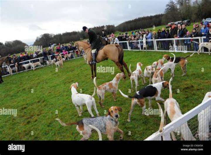 Beaufort Hounds