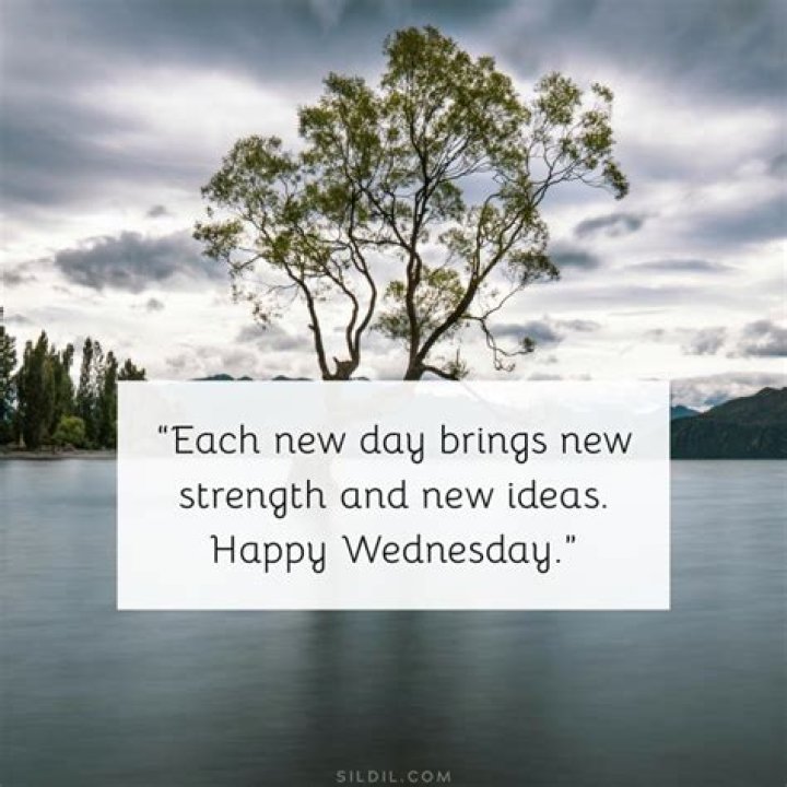 Best 25+ Wednesday motivation ideas on Pinterest Wednesday wisdom