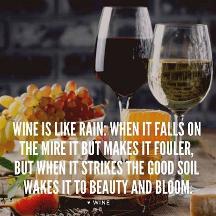 BetterTastingWine Wine Quotes, Wine Jokes, Wine Humor
