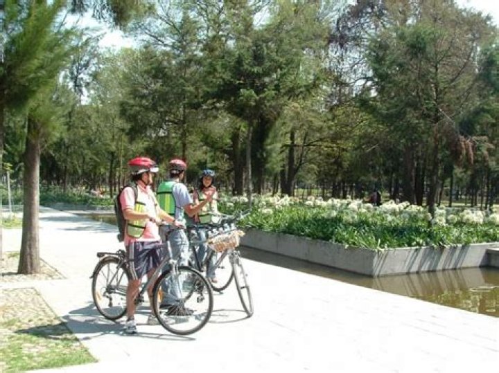 Bike Riding in Mexico City