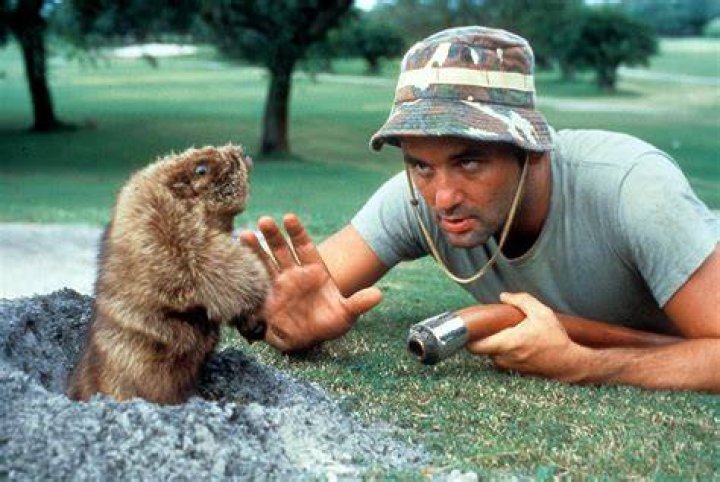 Bill Murray in Caddyshack (1980)