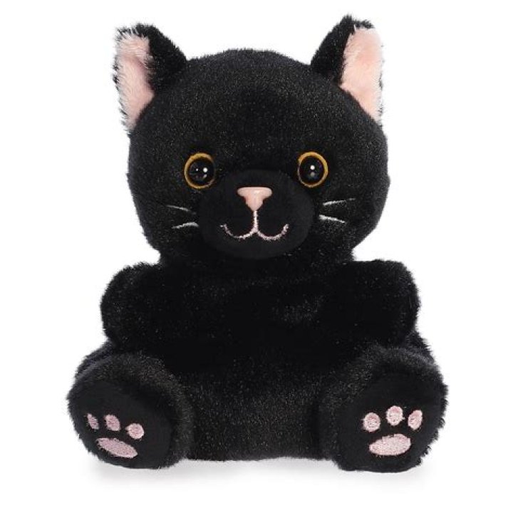 black cat in soft pet carrying bag on floor