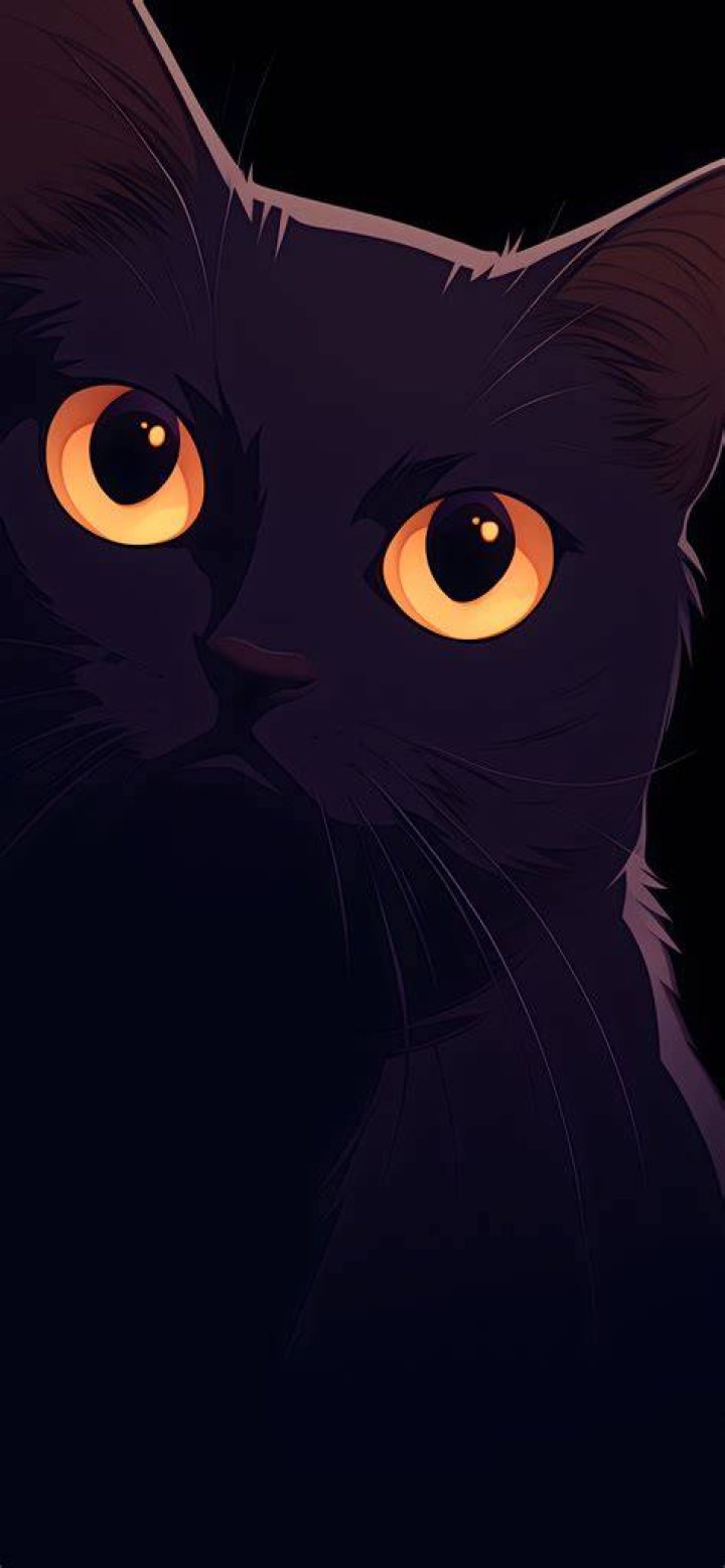 black cat with glowing eyes in the dark