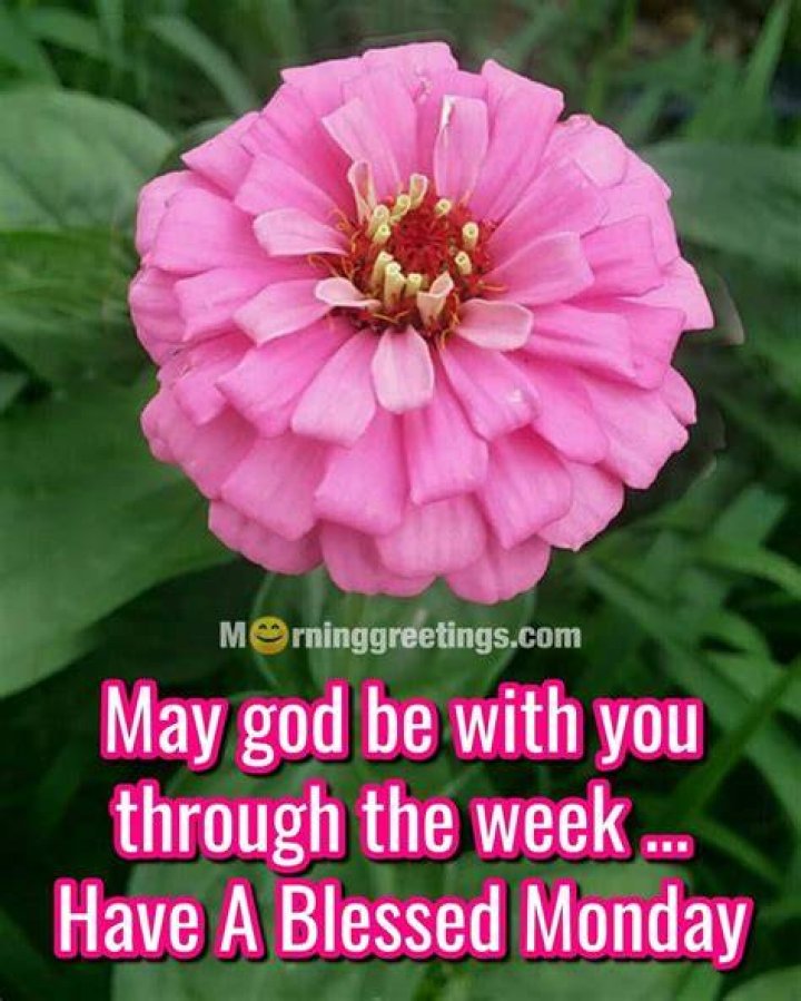 Blessed Monday Pictures, Photos, and Images for Facebook, Tumblr