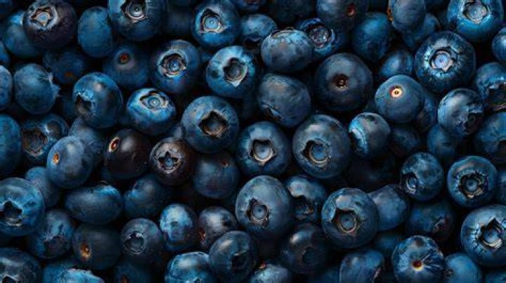 blueberries
