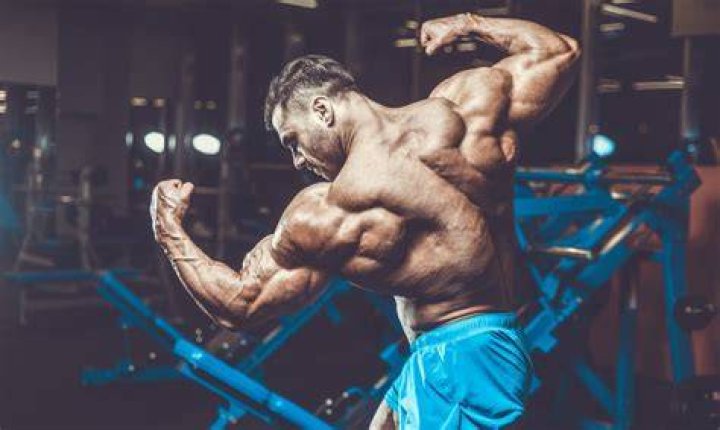 Bodybuilding and Fitness Blog, Where you can Find all the Bodybuilders