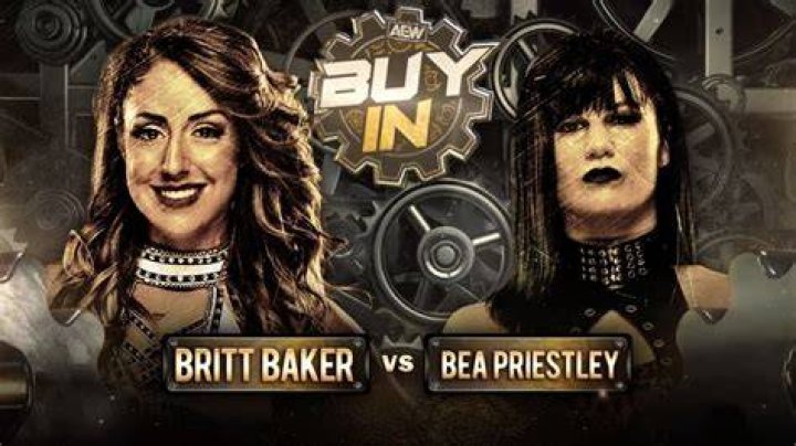 Britt Baker vs Bea Priestley AEW Full Gear