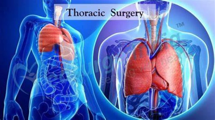 Cardiovascular and Thoracic Surgery