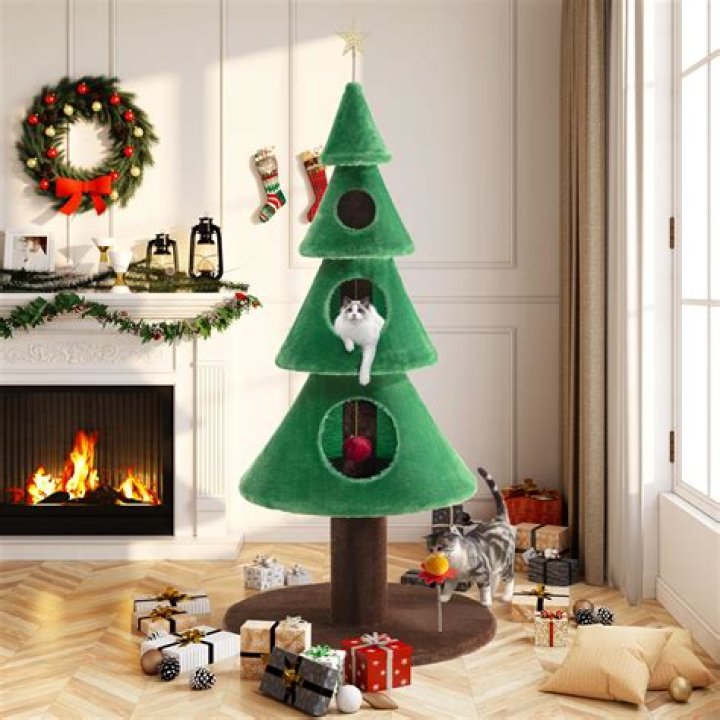 Cat with a christmas tree in the background