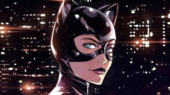Catwoman in a laptop in The LEGO Batman Movie