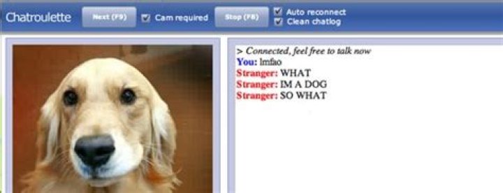 Chatroulette Is online tool that let you meet new AlternativeTo