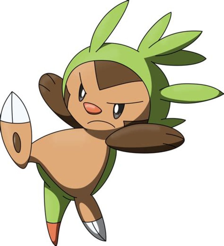 Chespin Pokemon