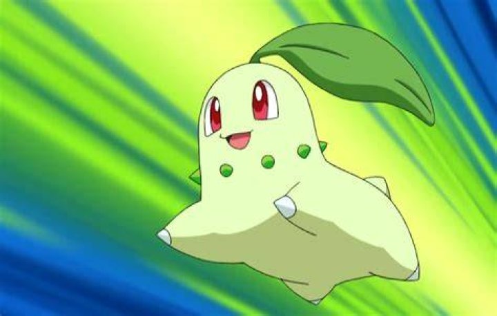 Chikorita Pokemon