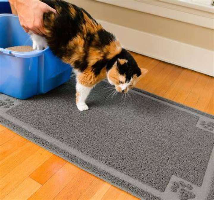 CleanHouse Cat Litter Mat
