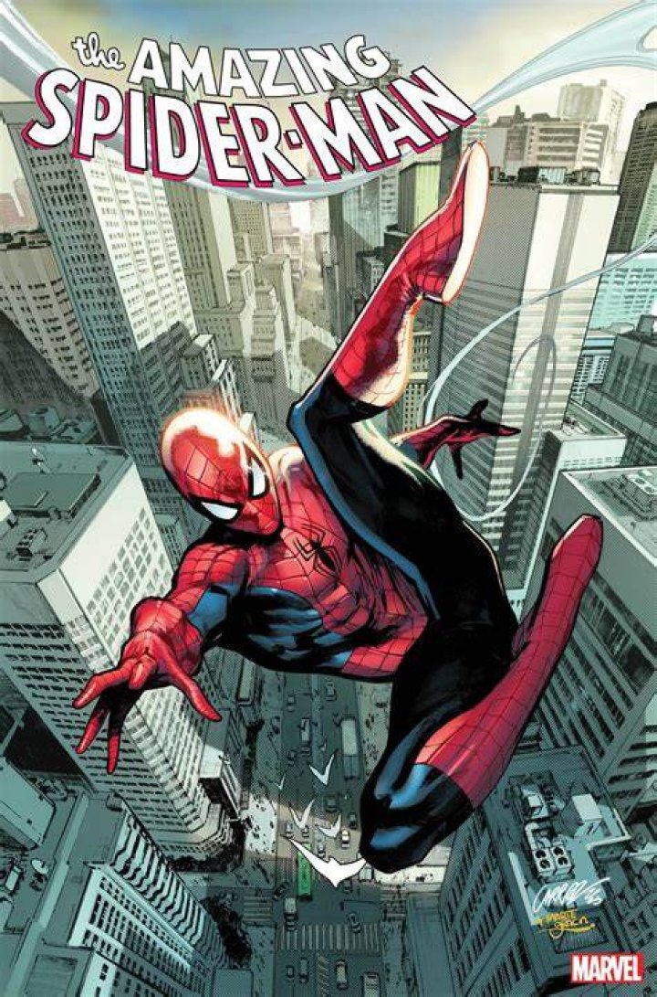 Comic cover artwork of Spider-Man and Black Cat