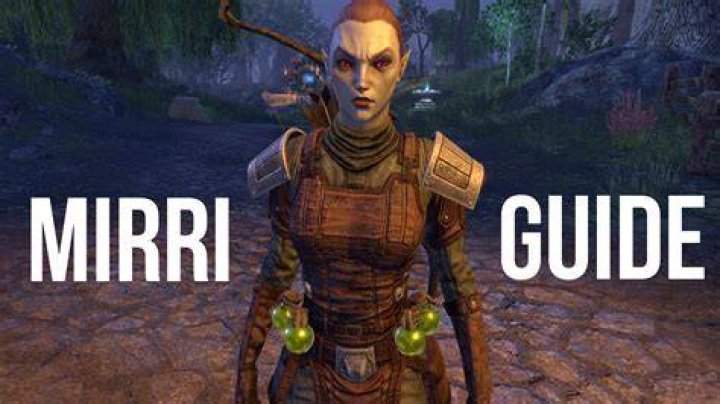 companion eso
