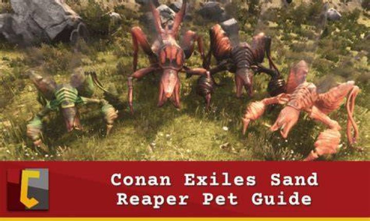 conan exiles pet companions guide how to find siptah rhinoceros rhino calf isle of siptah map locations
