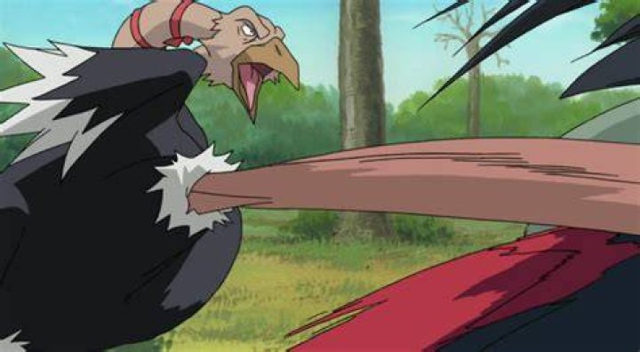 Condor The Ostrich In Naruto