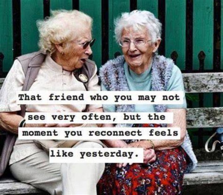 Cool Best Quotes On Old Friends 2022 Pangkalan