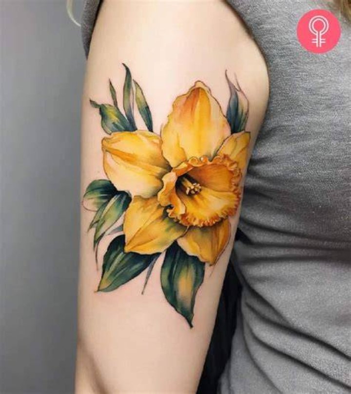 Daffodil tattoo Daffodil tattoo, Butterfly tattoos on arm, Tattoos