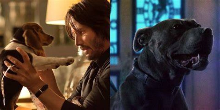 Daisy looking at John Wick in a car