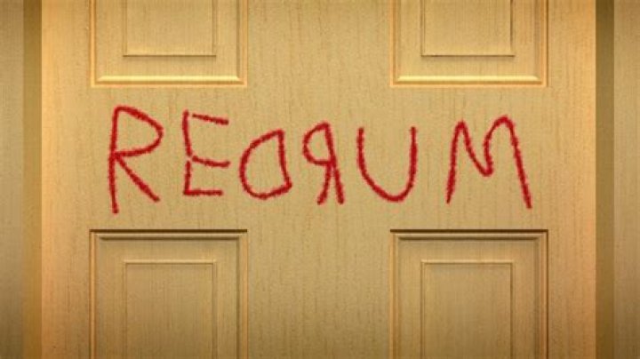 Danny writing Redrum in The Shining