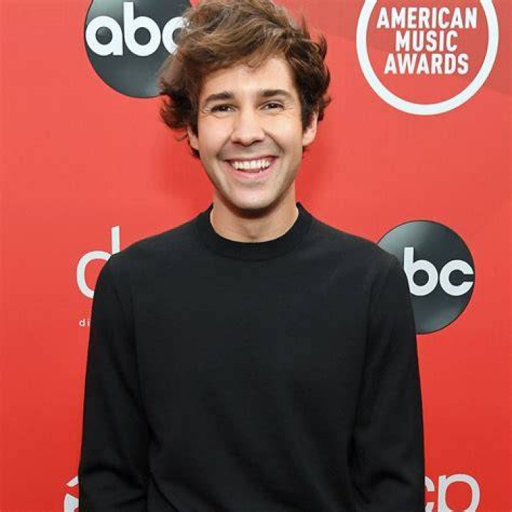 David Dobrik Apologizes for "Mistakes" Amid Allegations Over Videos