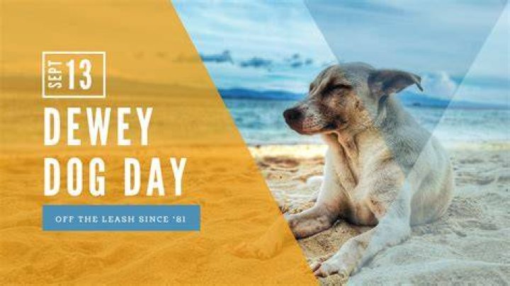 dewey the dog death in m3gan