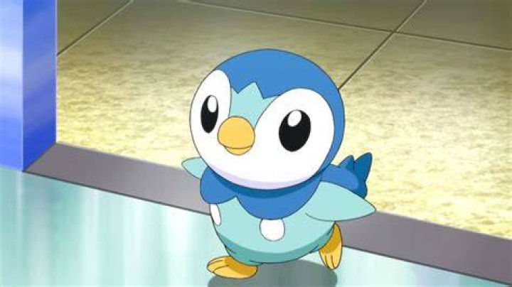 Did you like Piplup/Pochama's character in Diamond and Pearl?