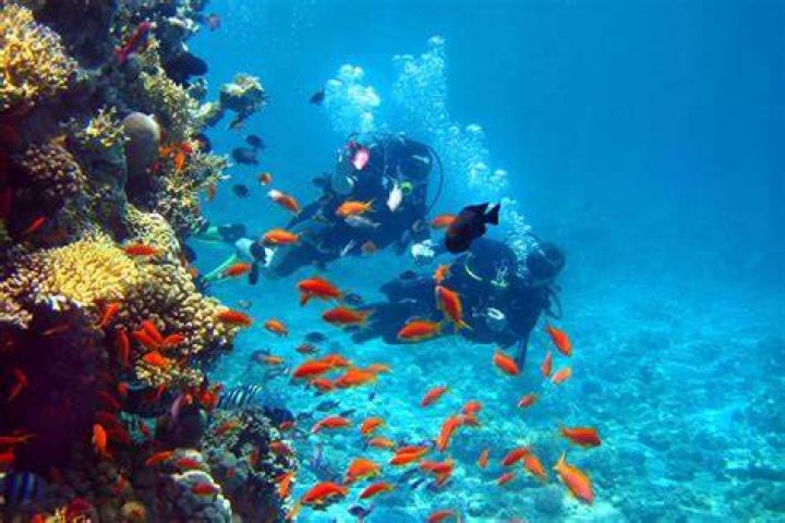 Diving in Cambodia