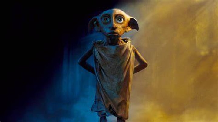 Dobby says how he's heard of Harry's greatness in Harry Potter