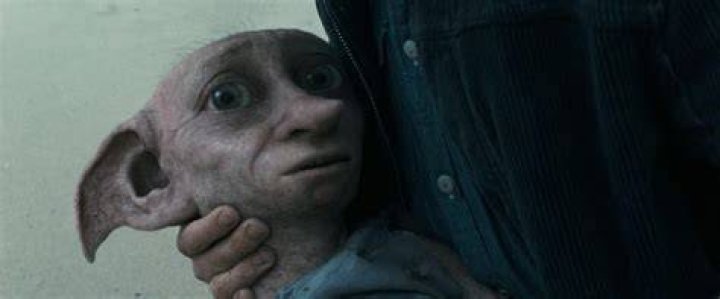 Dobbys Death in Harry Potter and the Deathly Hallows