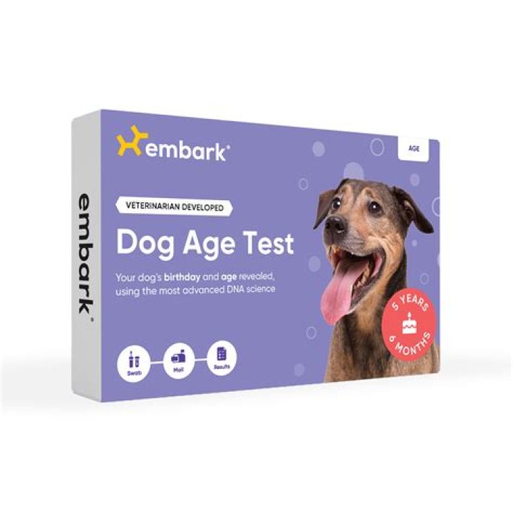 Dog Age Test Embark Vet