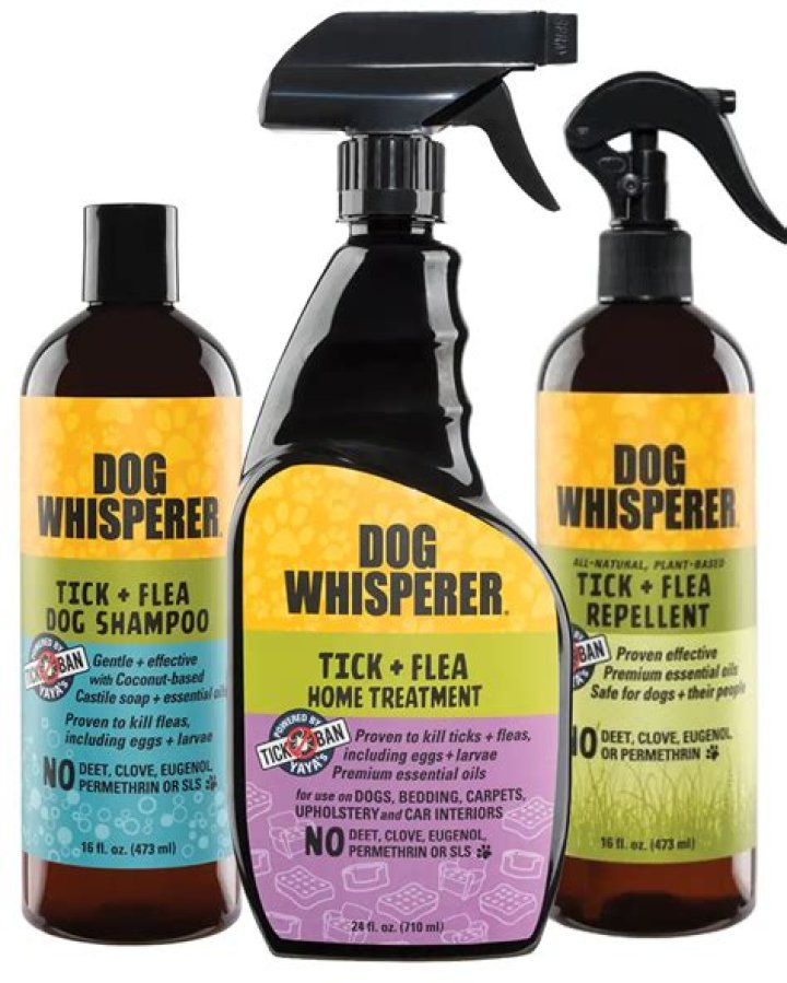 Dog Whisperer Dog Flea & Tick Shampoo (1)