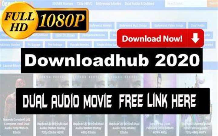 Downloadhub 2021 Latest 300MB Dual Audio Movies Download