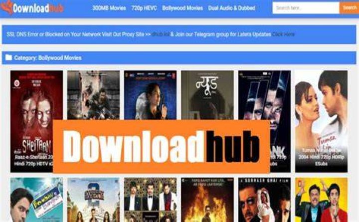 DownloadHub Bollywood and Hollywood Hindi Dubbed Movies Download